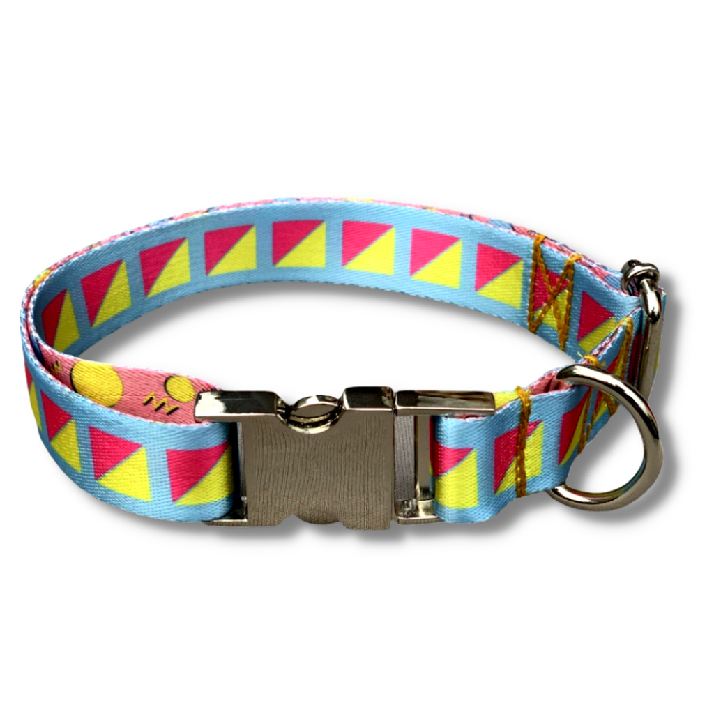 BNB - Printed Collar for Dog- Blue Kite