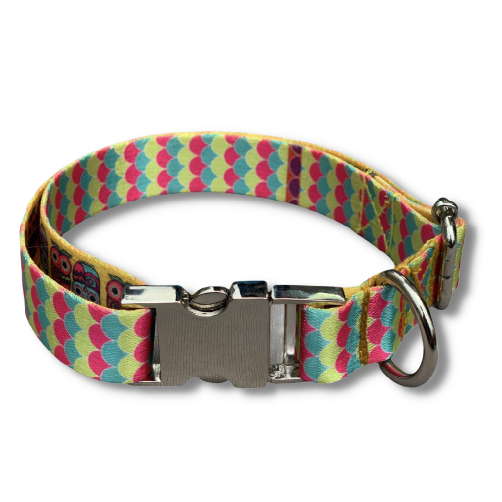BNB - Printed Collar for Dog- FINS