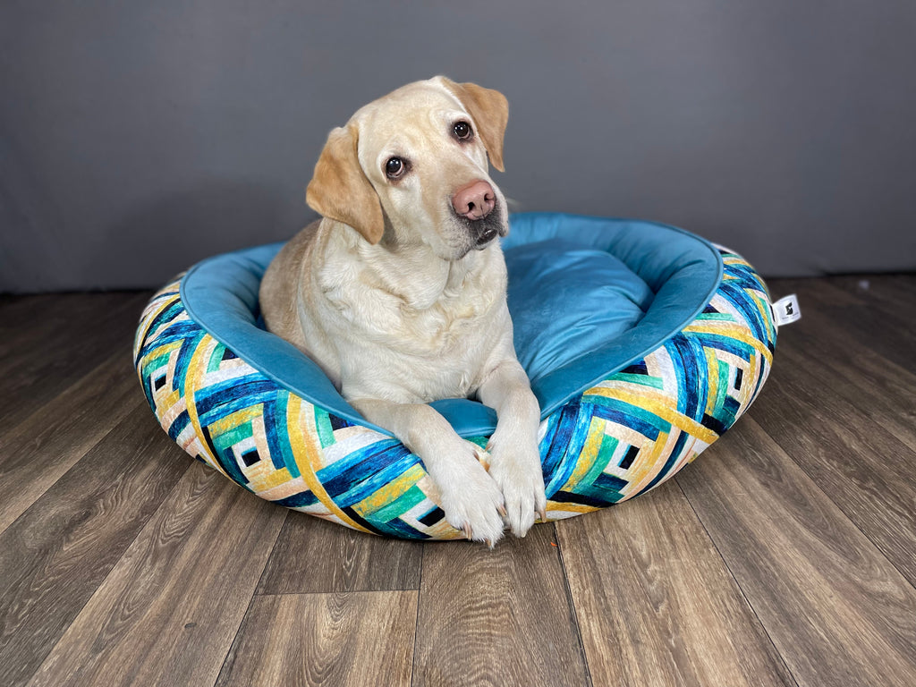 BNB Dream and Turquoise Dog Bed -(Donut Bed)