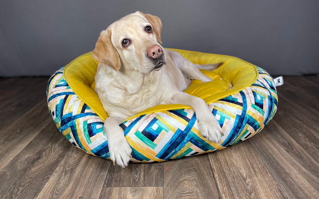 BNB Dream and Yellow Dog Bed -(Donut Bed)