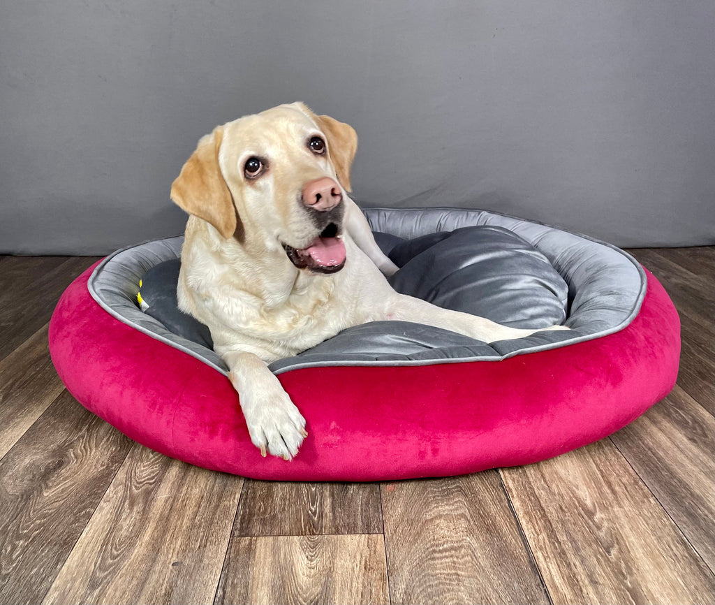 BNB Red and Ash Dog Bed -(Donut Bed)