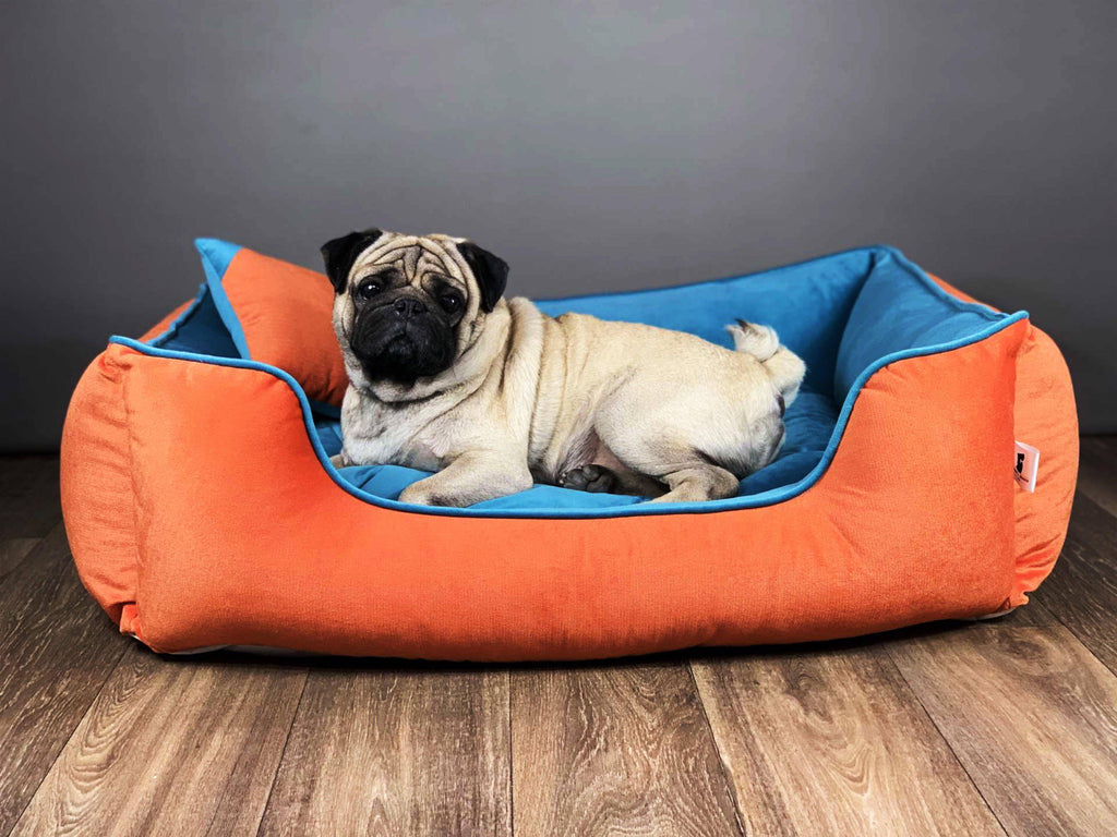BNB Belgium Coral and turquoise Dog Bed - Bark N' Bones By Bella
