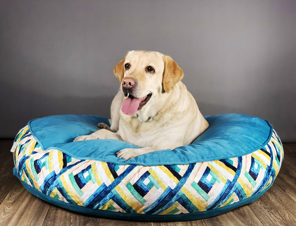 BNB Turquoise Round Bed - For Medium and Maxi Breeds - Bark N' Bones By Bella