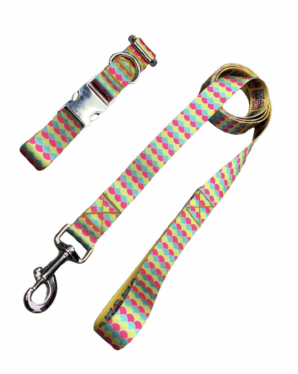 Pop Fins Patterned Collar & Leash Set – Bark N' Bones By Bella